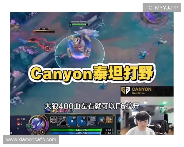 Canyon打野风格解析与实战经验分享提升你的游戏水平