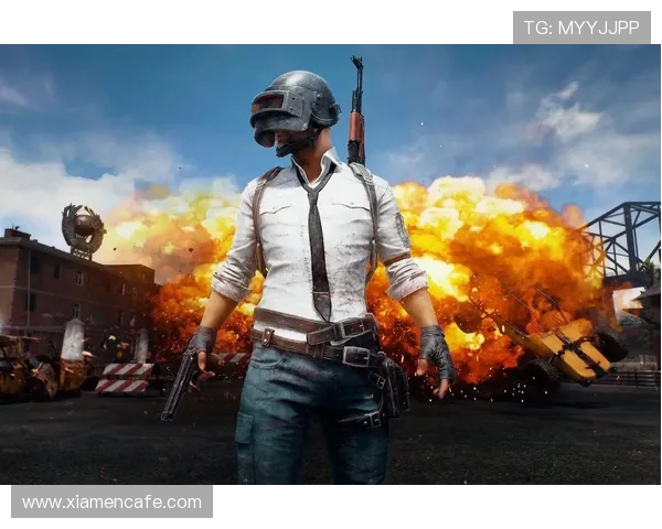 Danawa电子竞技战队绝地求生全面分析与战术演绎探讨