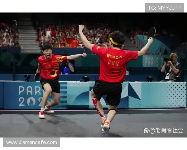 乒乓球运动的魅力与发展趋势探析从国球荣耀到全民健身热潮