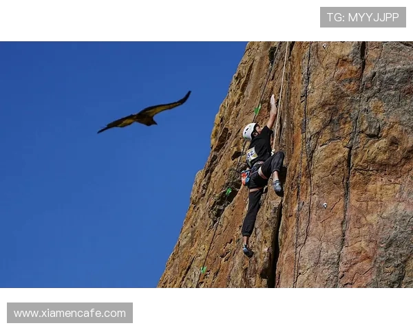 北京攀岩队耐力训练与技术提升的深度分析与探讨 北京攀岩队耐力训练与技术提升的深度分析与探讨