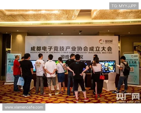 成都排球队的节奏革新探索与实践助力竞技水平提升的全新篇章