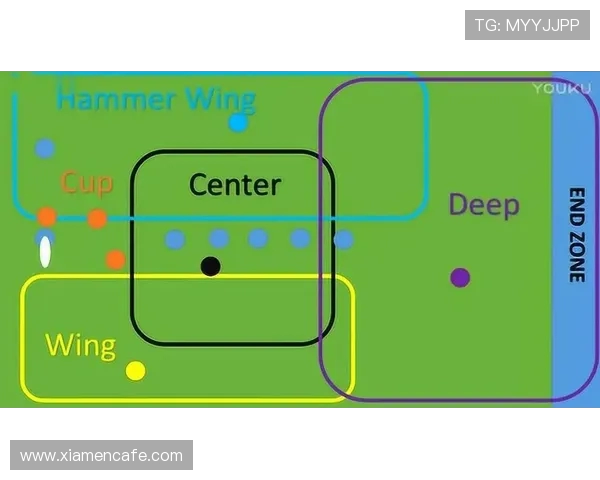 武汉飞盘队的转换得失分析与战术调整探讨