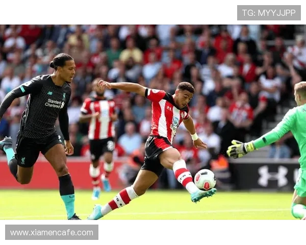 墨尔本胜利对阵首尔FC精彩视频回顾与赛后分析